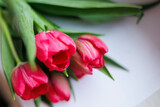 Fototapeta Tulipany - Close up of Red Tulips bucket