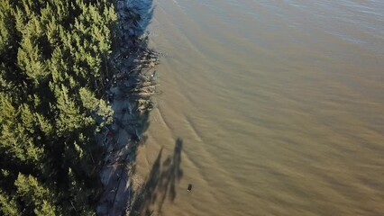 Wall Mural - Aerial view of forest, storm broken trees, shadows, Baltic sea and cape Kolka, Latvia.