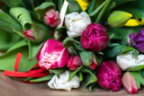 Fototapeta Tulipany - tulipany, młode wiosenne żółte tulipany, Flowers, Kwiaty, wiosna, dzień kobiet 