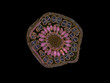 cross section cut slice of plant stem under the microscope – microscopic view of plant cells for botanic education – high quality