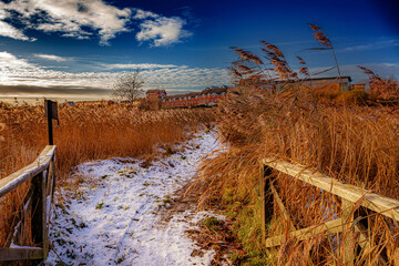 Poster - Bowesfield Nature Reserve, Stockton-on-Tees