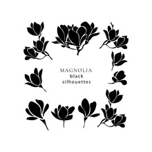 Set With Black Silhouettes Of Blooming Magnolia Twigs.