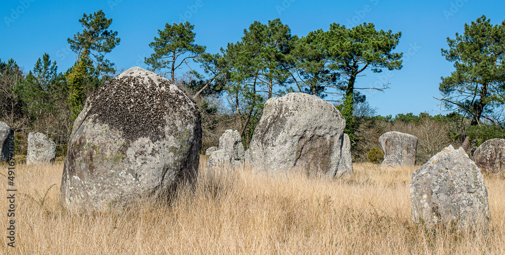 carnac-alignment-of-neolithic-menhirs-of-kerlescan-a-site-located-in