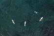 Aerial top down view of surfers in the Indian ocean waiting for the waves, Hiriketiya beach, Sri Lanka.