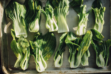 Sticker - cut baby bok choi ready to roast on sheet pan