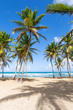 Fototapeta  - Beach scene with coconut palms