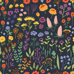 Vector seamless pattern with hand drawn wild plants, herbs and flowers, colorful botanical illustration, floral elements, hand drawn repeating background. Wild meadow herbs, flowering flowers