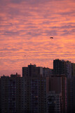 Fototapeta Miasto - sunrise over the city