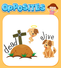 Wall Mural - opposite words for dead and alive