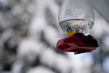 冬のバードフィーダー　映り込み　雪　蜜　蜜　ハチドリの餌　フィーダ　凍った　冬の