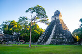 Fototapeta  - Tikal, Petén, Guatemala