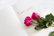 I Am Sorry Message Card Handwriting With Red Flowers Rose Arrangement Flat Lay Postcard Style On Background White