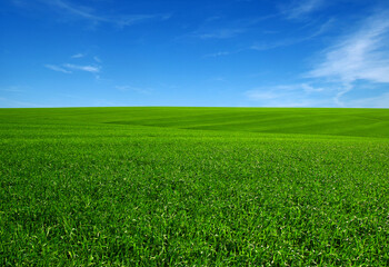 green field and clouds