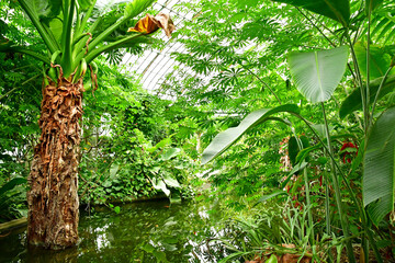 Wall Mural - Paris; France - july 8 2021 : the Auteuil greehouses garden in the 16th arrondissement