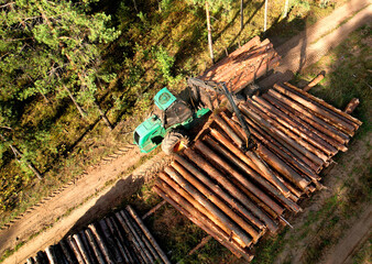 Wall Mural - Crane forwarder machine during clearing of forested land. Wheeled harvester transports raw timber from felling site out. Harvesters, Forest Logging machines. Forestry forwarder on deforestation.