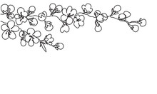 Blooming Spring Branch. Horizontal Branch Of Cherry Blossom. Spring Floral Abstract Nature Background. Vector Sketch. Line Drawing.