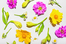 Different Blooming Flowers On White Background, Closeup