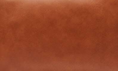 Canvas Print - Empty brown color smooth leather