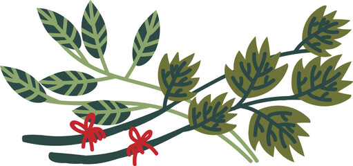 Branch Border Line with Green Leafy Curved Twig as Botany and Foliage Decor