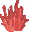 Bright Red Coral or Anthozoa as Marine Invertebrate from Ocean Bottom and Seabed