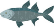 Fish as Aquatic, Craniate, Gill-bearing Animal with Fins Side View Closeup