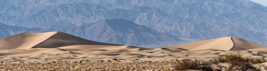 Wall Mural - Panoramic sand dunes in the arid Southern California desert