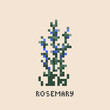 Pixel art rosemary flower. Vintage 90s gaming 8 bit icon of rosemary bush. Vector pixel rosemary game pattern.	