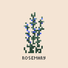 Pixel Art Rosemary Flower. Vintage 90s Gaming 8 Bit Icon Of Rosemary Bush. Vector Pixel Rosemary Game Pattern.	