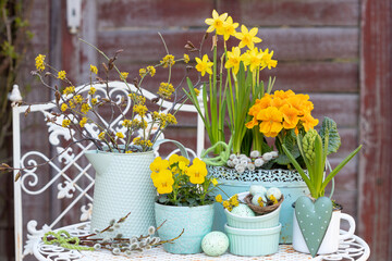 Wall Mural - Osterdekoration mit gelben Frühlingsblumen und Ostereiern im Garten