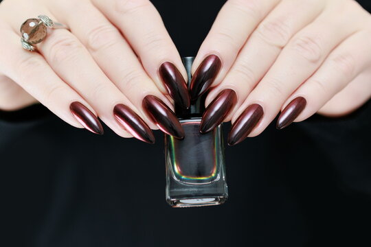 Female hand with long nails and dark red bordo manicure holds a bottle of nail polish