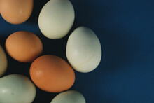 Colors Of Chicken Eggs From Top View On Blue Background With Copy Space.