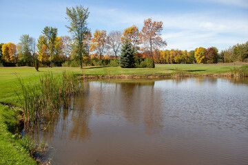 Canvas Print - The shallow lake