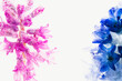 Hyazinthen blau und pink in Eis