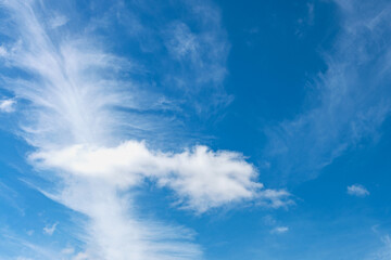 Wall Mural - blue sky with white cirrus clouds