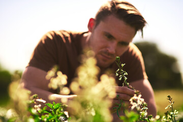 Wall Mural - We all start out small in life. Cropped shot of a young farmer looking at the crops on his farm.