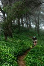 Young Mountain Biker Going Fast In A Beatiful Foggy Morning In Spain
