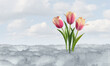 Spring tulip bloom as a symbol of thawing melting snow after winter weather with tulips as a springtime season concept in a horizontal layout.