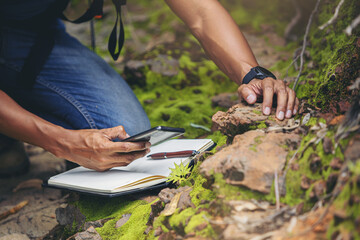 Biologist or botanist recording information about small tropical plants in forest. The concept of hiking to study and research botanical gardens by searching for information.