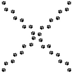 Poster - Paw print trail isolated on white background