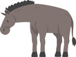 Grey Donkey Hoofed Mammal as Farm Animal and Domestic Livestock Breeding