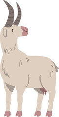 Sticker - Goat Hoofed Mammal with Horns as Farm Animal and Domestic Livestock Breeding