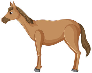 Poster - A pretty brown horse on white background