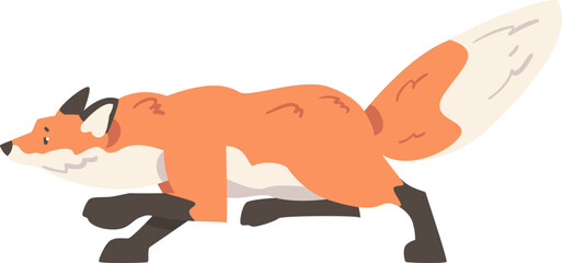 Poster - Sneaking Orange Fox as Omnivorous Mammal with Pointed Snout and Long Bushy Tail