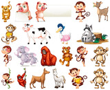 Fototapeta Pokój dzieciecy - Set of animal cartoon character