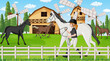 Outdoor scene with equestrian leading horse