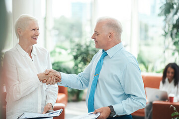 Wall Mural - smiling financial partners shaking hands . close up.