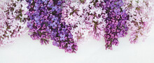 Lilac Flowers Border, Purple And Pink Flowers, Large Banner Size