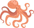 Octopus as Soft-bodied, Eight-limbed Mollusc and Underwater Oceanic Mammal Species
