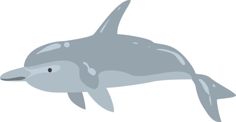 Poster - Dolphin as Cetacea Fish with Fins and Underwater Oceanic Mammal Species