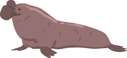 Sticker - Earless Seal or Phocid with Fins and Underwater Oceanic Mammal Species